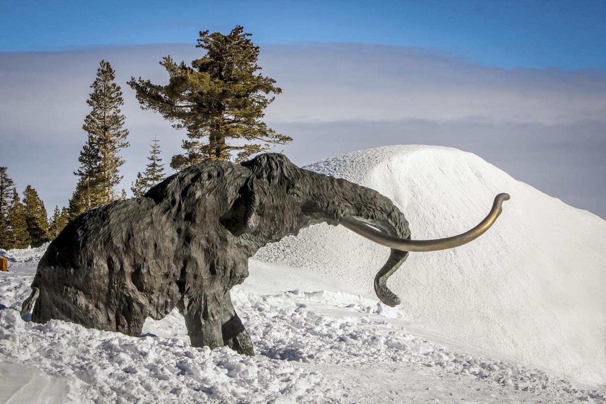 Holiday home Hidden Valley Mammoth Lakes